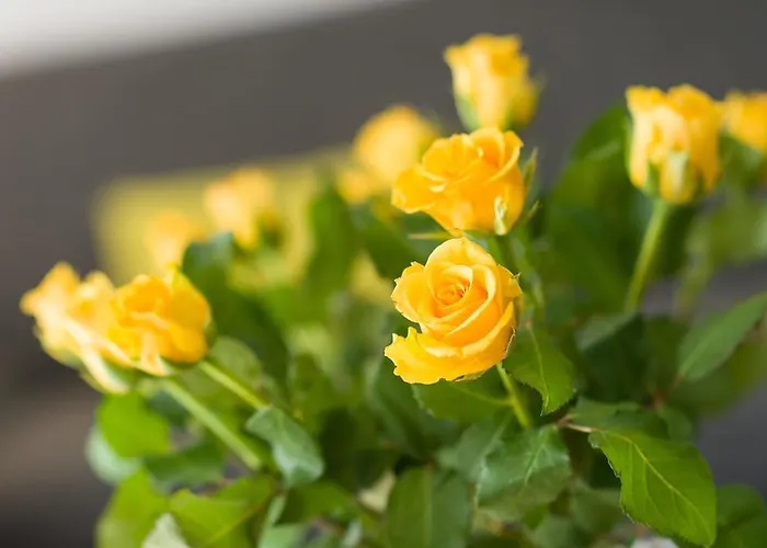 Appartement Postgebaeude